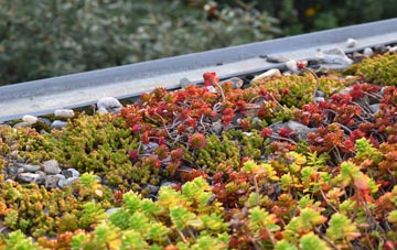 the cost of Brookfield green roof installation