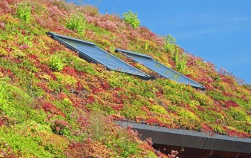 Brookfield living roof systems